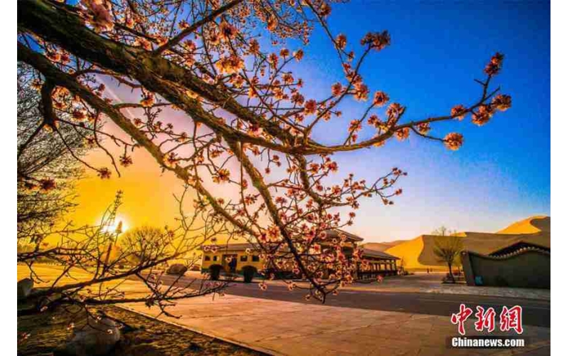 甘肃敦煌升级乡村文化品牌游 引客置身享特色“乡味”