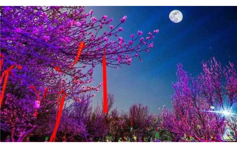 好消息！敦煌站这些列车恢复正常运行啦！