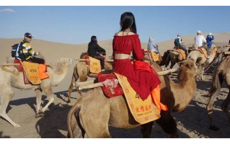 【中央1台】敦煌旅游市场开始回暖升温