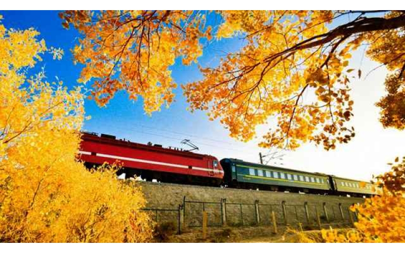 【代表建言】助力打造大敦煌文化旅游经济圈